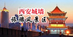 鸡巴巨臀操逼中国陕西-西安城墙旅游风景区